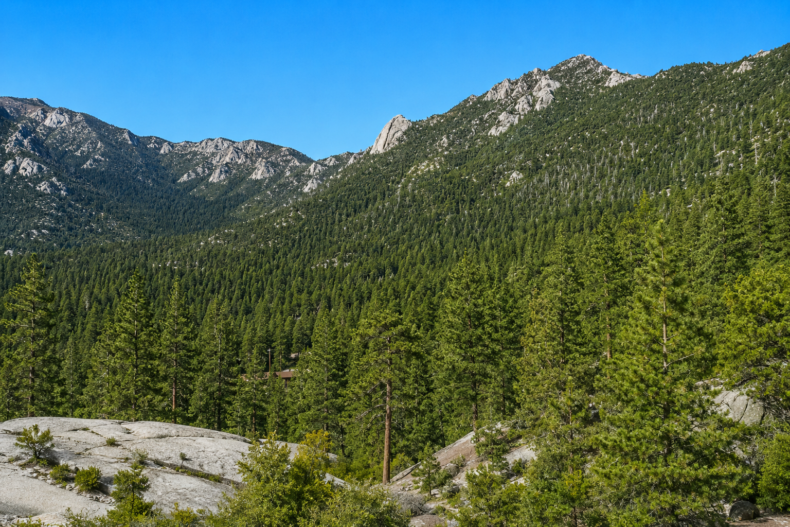 SoCal mountain forest road